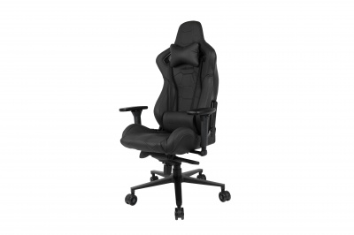 Компьютерное кресло AndaSeat Dracula (AD14-03-B-L/C-B01)