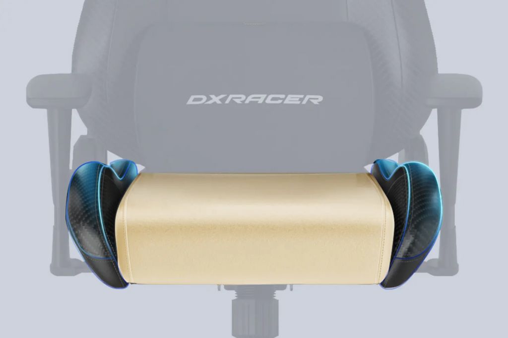 Компьютерное игровое кресло DXRacer OH/DL23/NR серии Drifting