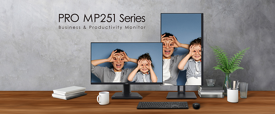 MSI Pro MP251