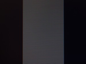 131_shim100.jpg