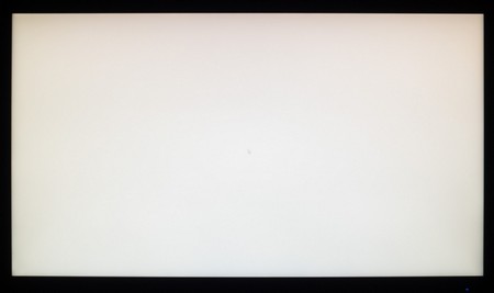 105_ravn_white.jpg