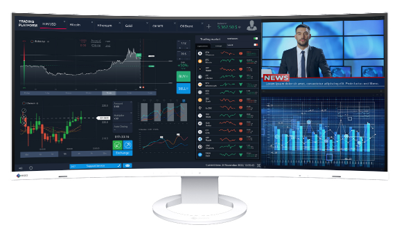 Монитор Eizo FlexScan EV3895-FBK