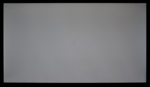 103_ravn_gray2.jpg
