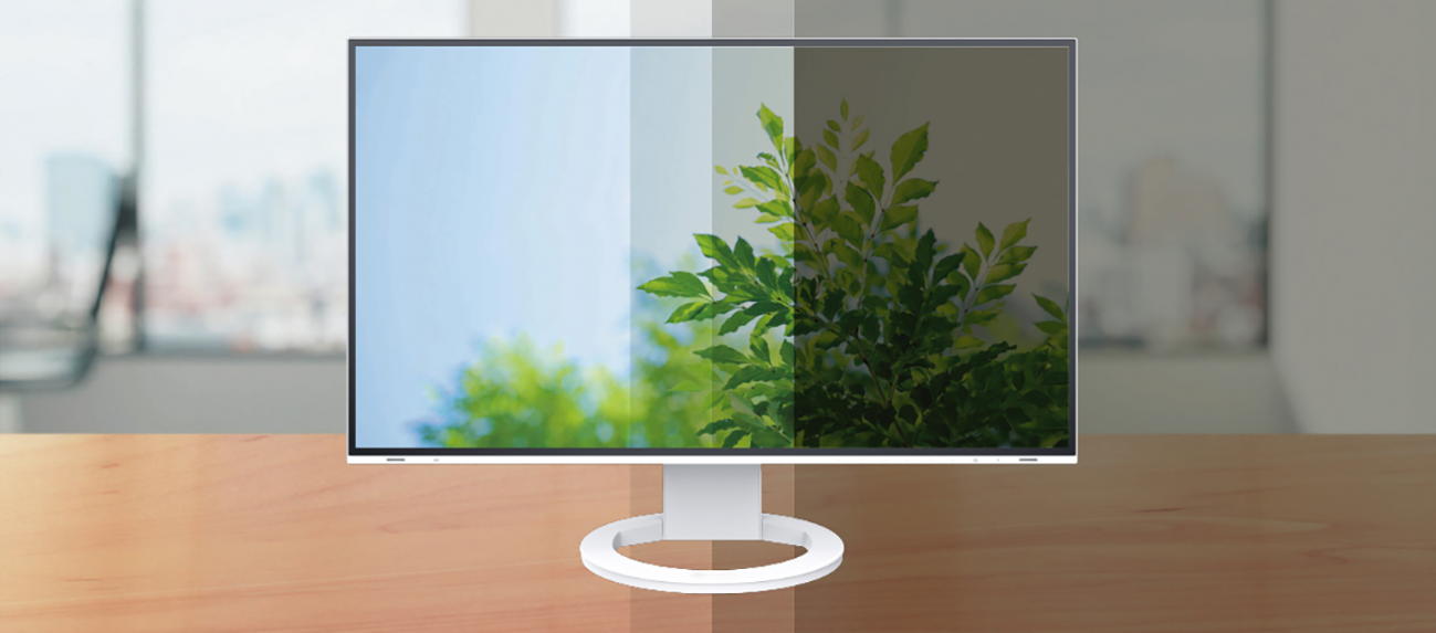Монитор EIZO FLEXSCAN EV2495-WT