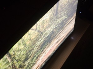 115_glow1.jpg