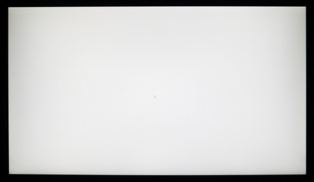 115_ravn_white.jpg