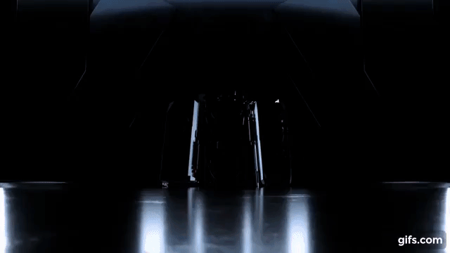 gif.gif