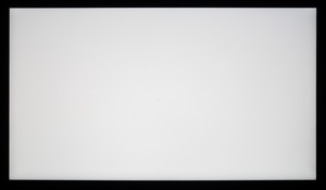 117_ravn_white2.jpg