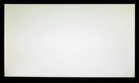 119_ravn_white.jpg