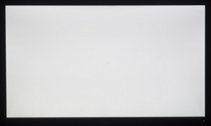 101_white1.jpg
