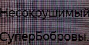 121_text2.jpg