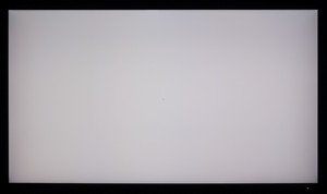 95_ravn_gray1.jpg