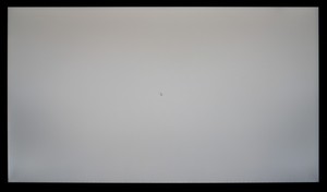 101_ravn_gray1.jpg