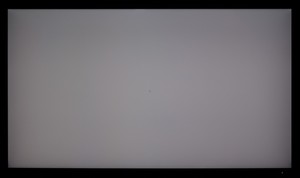96_ravn_gray2.jpg