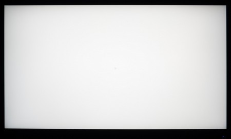 105_ravn_white.jpg