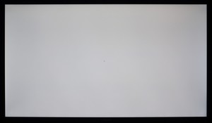 102_ravn_gray1.jpg