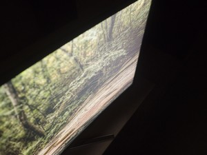 101_glow1.jpg