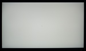 97_ravn_gray1.jpg