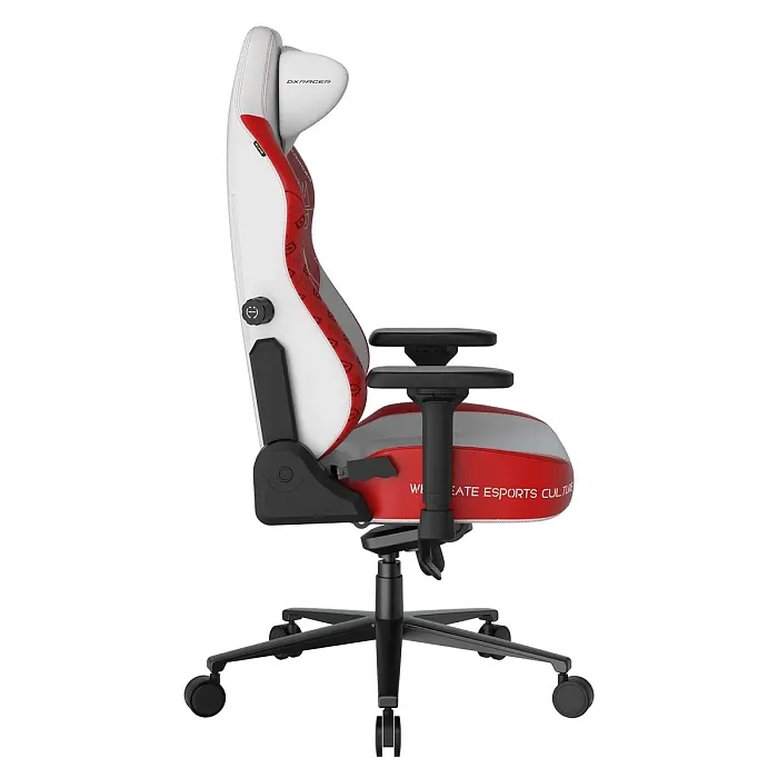 Компьютерное кресло DXRacer CRA/DXL5000/ASHWINDER.WR - фото 2