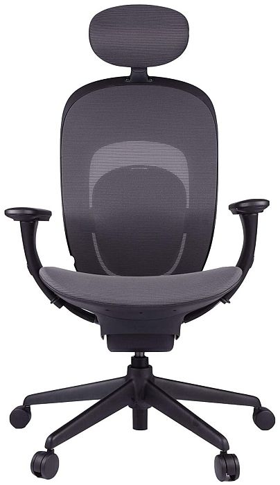 Компьютерное кресло Xiaomi Yuemi YMI Ergonomic Chair, черное (RTGXY01YM) - фото 1